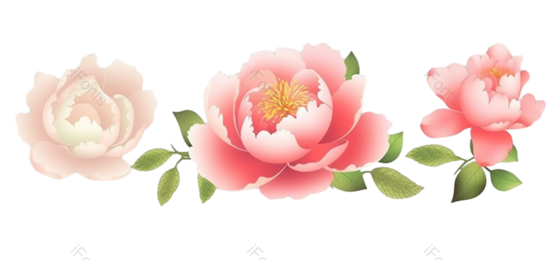 叶子图片,装饰元素,元素PNG,花纹免抠素材